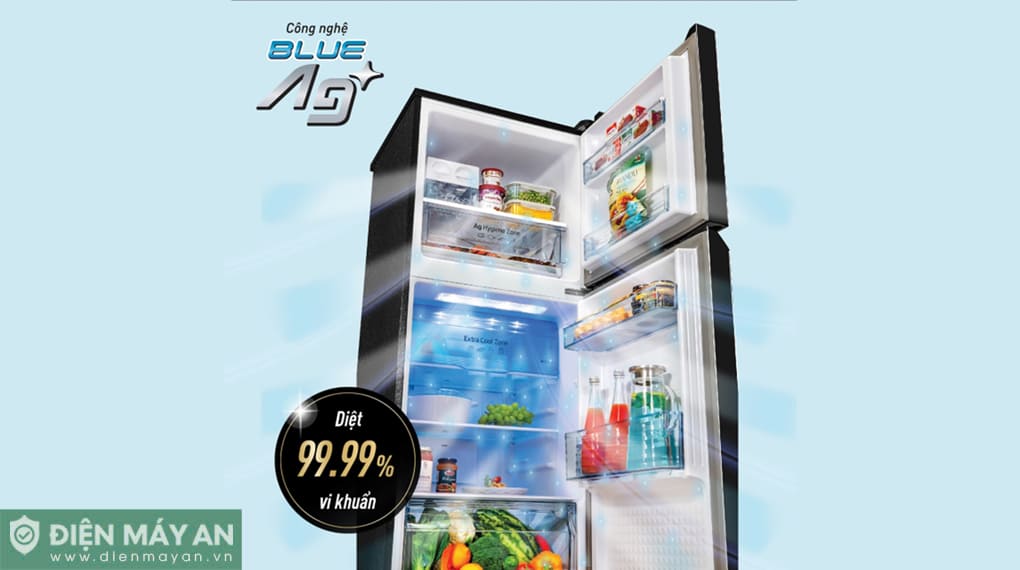 Tủ Lạnh Panasonic Inverter 268 Lít NR-TV301BPKV